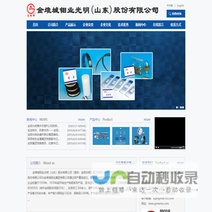 网站截图