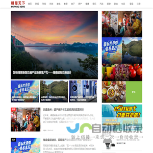 网站截图