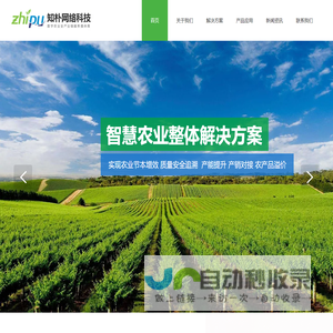 网站截图