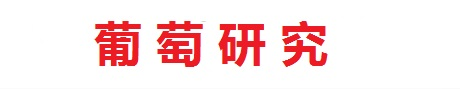 夏黑葡萄苗-红提葡萄苗-紫甜无核葡萄苗-葡萄研究